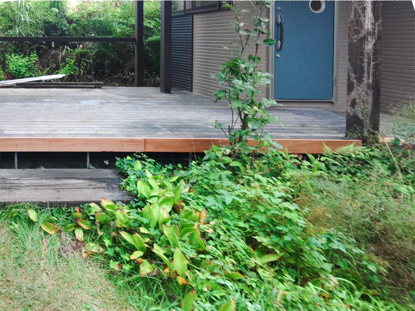 K様邸_wooddeck_after.jpg