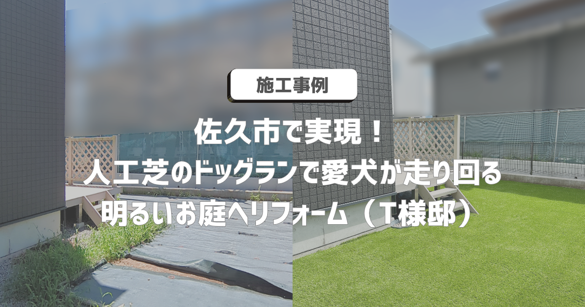 202609_dogurun_eyecatch.png